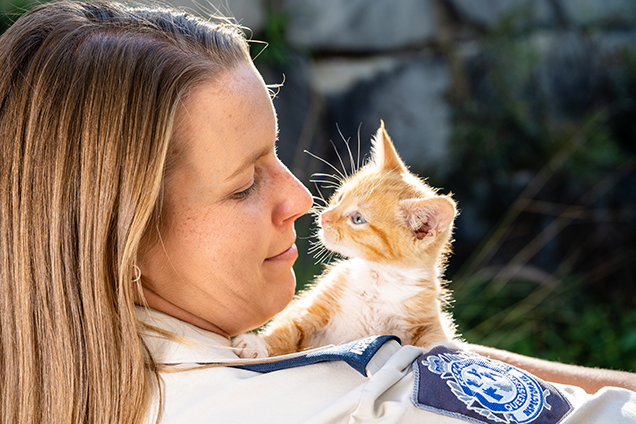 healthy kitten on shoulder of Rspca inspector